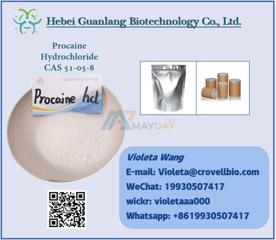 China Factory Procaine HCl CAS 51-05-8 - 1/1