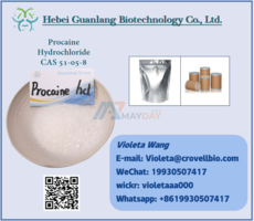 China Factory Procaine HCl CAS 51-05-8 - 1