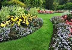 Affordable & Professional Gardening Services – A Bargain Gardener