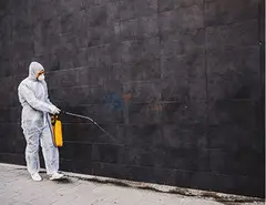 Safe & Reliable Pest Control Brisbane Northside