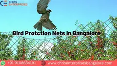 Bird Protection Nets in Bangalore - 1