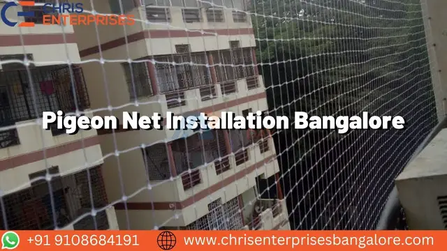 Pigeon Net Installation Bangalore - 1