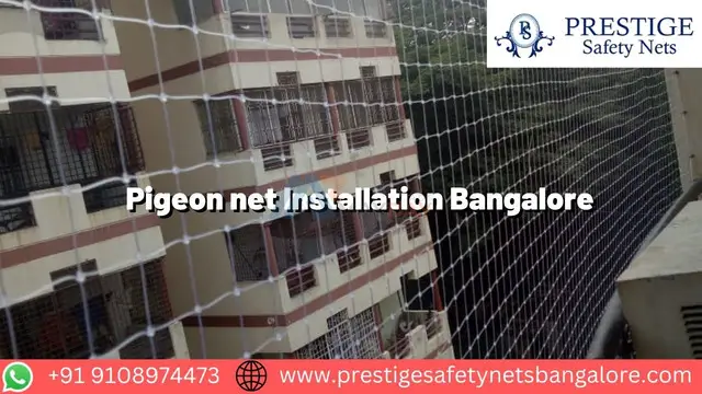 Pigeon net installation bangalore - 1