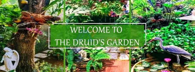 Modern Upcycled Wood Furniture, Mosaic Art & Home Decor - The Druid's Garden - 1