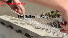 Bird Spikes in Pune