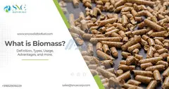 What is the definition of biomass