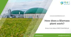 How does a Biomass plant work? Know more about SNCE Solid Biofuel - 1