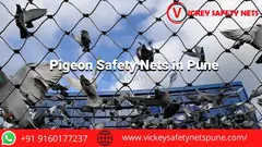 Pigeon Safety Nets in Pune - 1