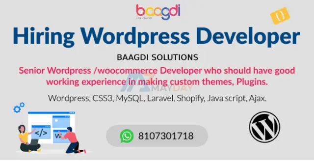Hiring experienced Wordpress developer at Baagdi Solutions Jaipur - 1