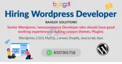 Hiring experienced Wordpress developer at Baagdi Solutions Jaipur