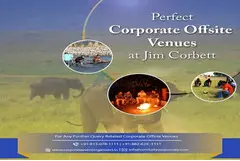 Corporate Offsite Venues In Jim Corbett - 1
