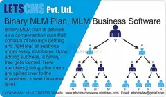 MLM Binary Compensation Plan of multilevel marketing MLM Business Software - cheapest price USA - 1