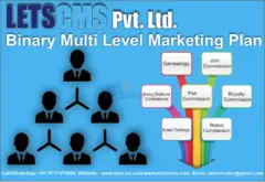 Binary MLM Income Plan  | Binary MLM Software for Network Marketing Business for cheapest Price USA - 1