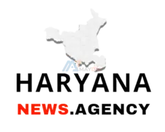 Haryana Latest News in Hindi - 1