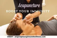 How does Acupuncture Boost the Immune System?