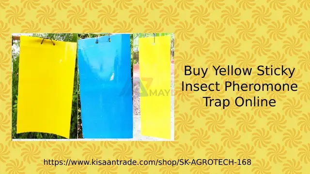 Buy Yellow Sticky Insect Pheromone Trap Online - 1