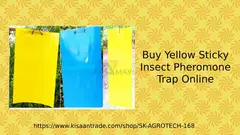 Buy Yellow Sticky Insect Pheromone Trap Online