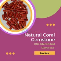 Buy High-Quality Coral (Moonga) in Delhi - Best Prices Guaranteed
