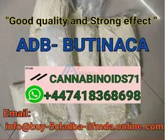 Selling ADB-Butinaca cas number 2682867-55-4 Adbb Replace 5CLADB