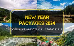 New Year Party Celebration 2024 – India New Year Package 2024