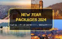 New Year Party Packages 2024 | New Year Packages in Delhi NCR - 1