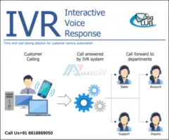 Why Do Businesses Need IVR?