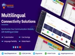Multilingual Connectivity Solutions - 1