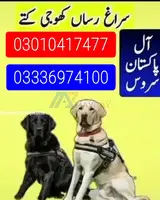 Army dog center 03010417477_03336974100