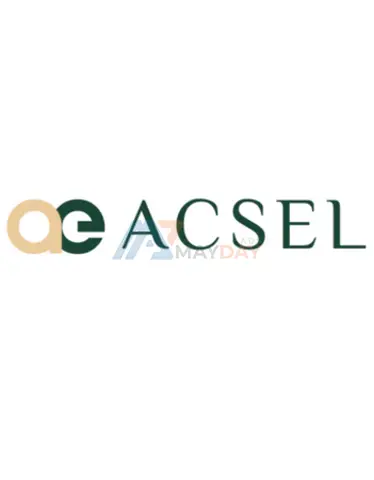 Why you should hire a business management consultancy - Acsel - 1/1