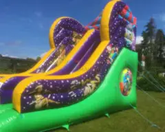 Deluxe Circus Themed Giant Slide
