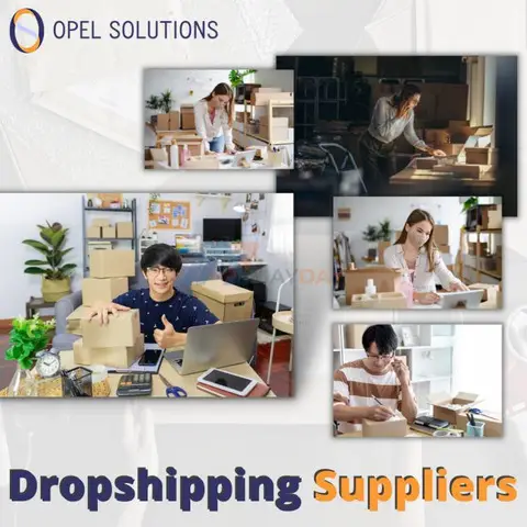 Work of Dropshipping Suppliers in details  | Opelsolutions - 1/1