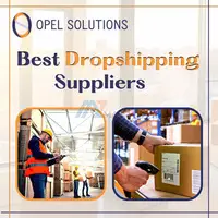 Why is it essential for choosing the Best Dropshipping Suppliers | Opelsolutions