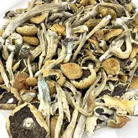 We offer the widest range of magic mushroom products