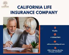Life Insurance Companies in California - 1