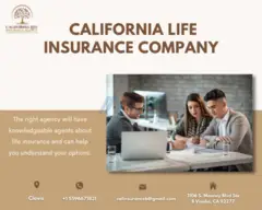 Life Insurance Companies in California - 3