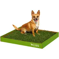 DoggieLawn Real Grass Dog Potty - Convenient & Natural Solution!