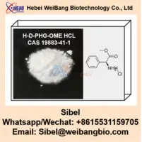 High Purity H-D-PHG-OME HCL CAS 19883-41-1 Buyer