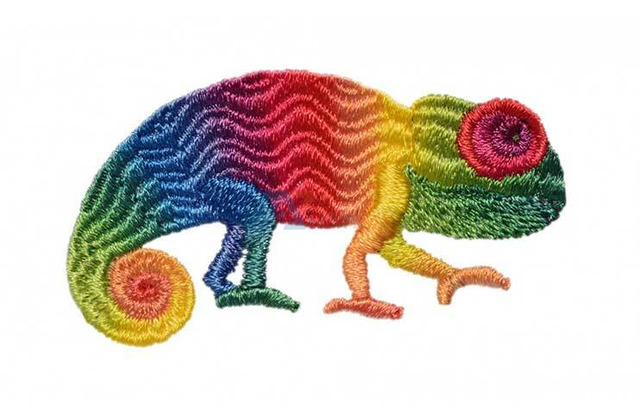 Coloreel Embroidery Digitizing Service - 1/1