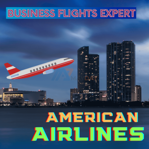 American Airlines Business Class - 1/1