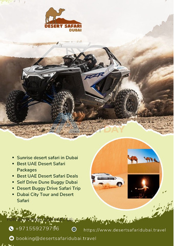 Self Drive Dune Buggy Dubai Desert Buggy Drive Safari Trip - 1