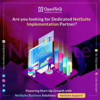 OpenteQ Is Top NetSuite Services providers.