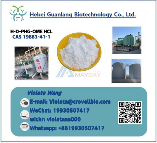 Buy CAS 19883-41-1 H-D-PHG-OME HCL Powder with Good Price - 1/1