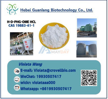 Buy CAS 19883-41-1 H-D-PHG-OME HCL Powder with Good Price
