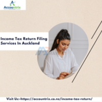 Income Tax Return Filing Services In Auckland - 1