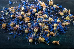 Kék búzavirág nagykereskedelem értékesítése a gyártótól a legjobb áron