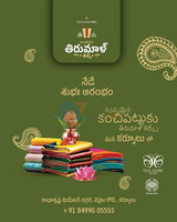 Gracefull Collection of Konchipuram Silk Sarees in Kurnool || Sree Thirumaal Silks