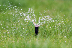 Evergreen Sprinkler and Landscaping Services