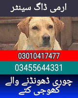 Army dog center 03455644331